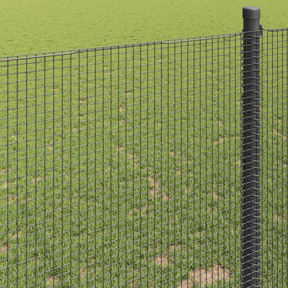 Welded Wire Fence Grey 0.6 x 50 m Steel