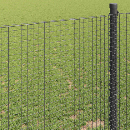 Welded Wire Fence Grey 0.5 x 100 m Steel