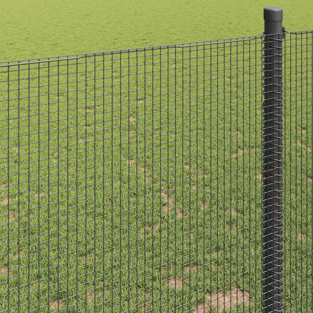 Welded Wire Fence Grey 0.6 x 100 m Steel