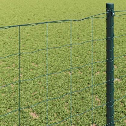 Euro Fence Green 1.4 x 10 m PVC-coated iron