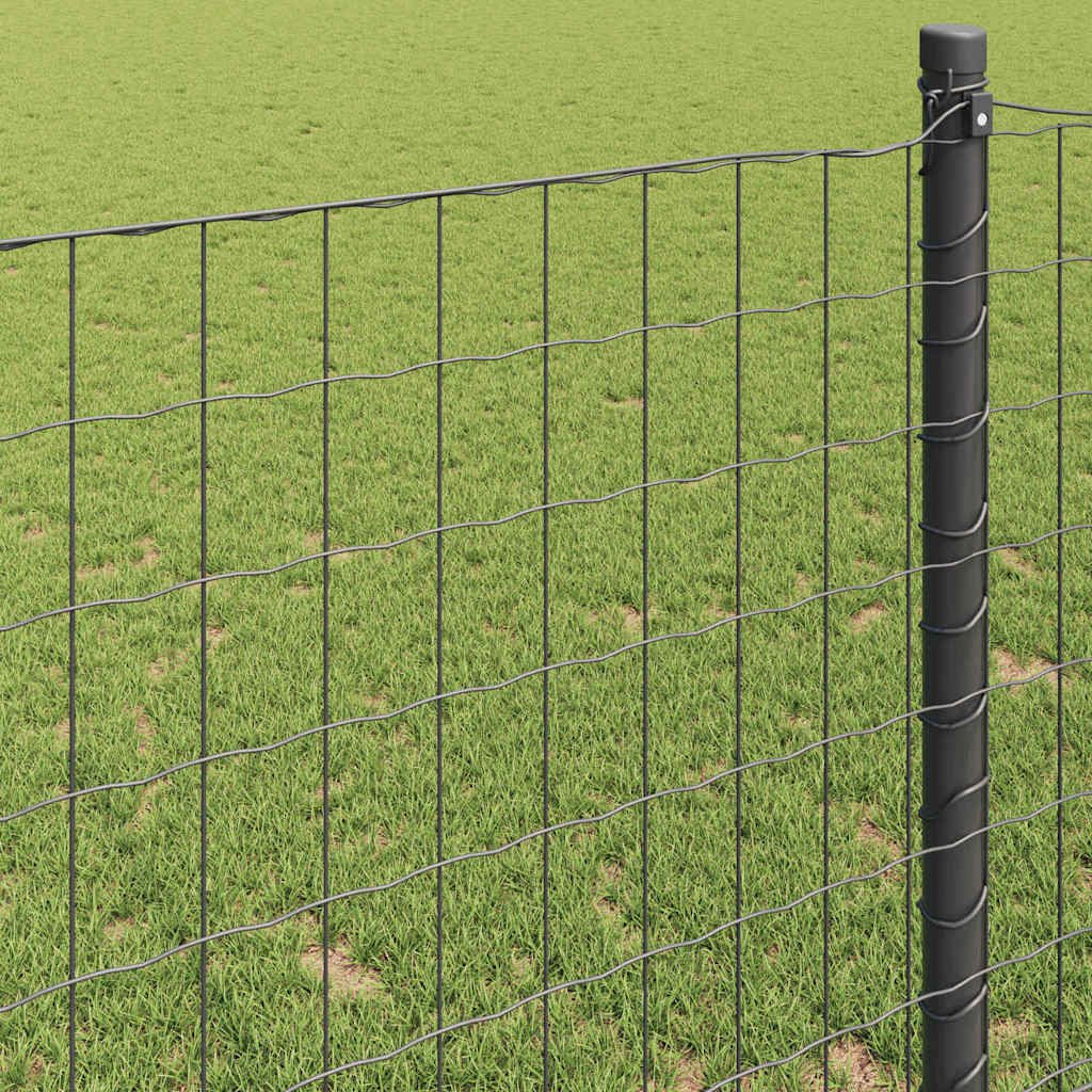 Euro Fence Grey 0.8 x 10 m PVC-coated iron