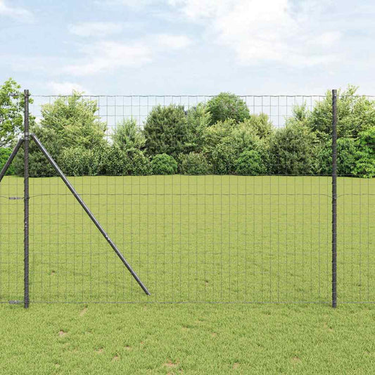 Euro Fence Black 1.6 x 10 m PVC-coated iron
