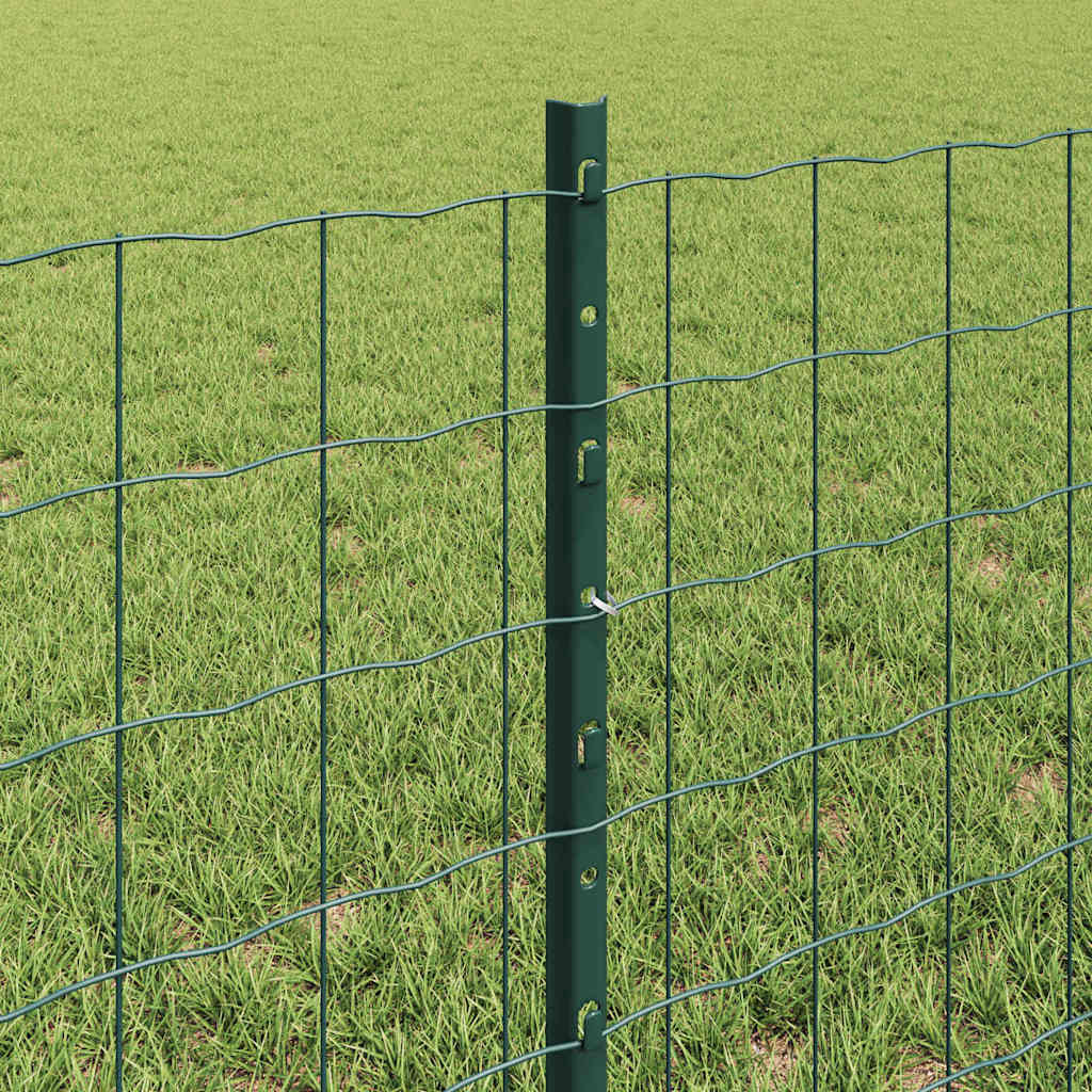 Fence with Posts Green 0.6 x 10 m Steel