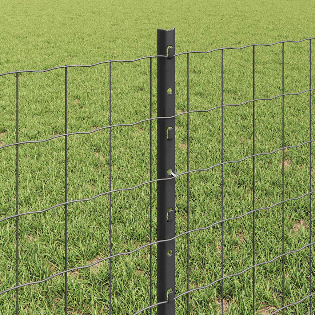 Fence with Posts Grey 0.6 x 10 m Steel