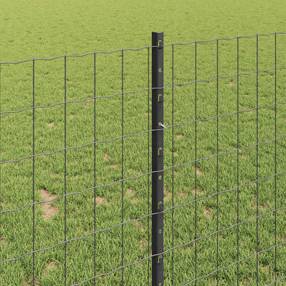 Fence with Posts Grey 1 x 25 m Steel