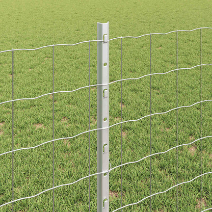 Fence with Posts Silver 0.8 x 10 m Steel