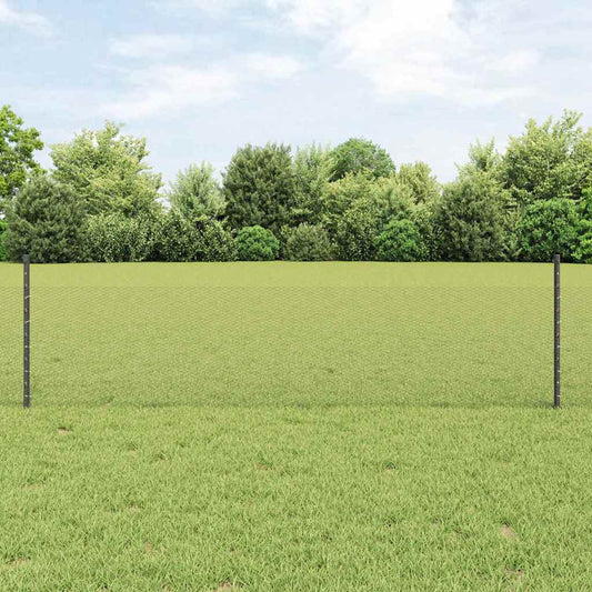 Fence with Posts Grey 0.5 x 10 m Steel