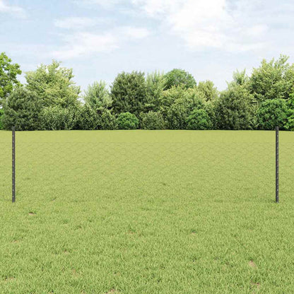 Fence with Posts Grey 0.5 x 10 m Steel