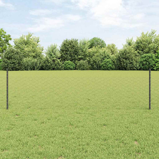 Fence with Posts Grey 0.5 x 10 m Steel