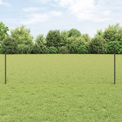 Fence with Posts Grey 0.6 x 25 m Steel