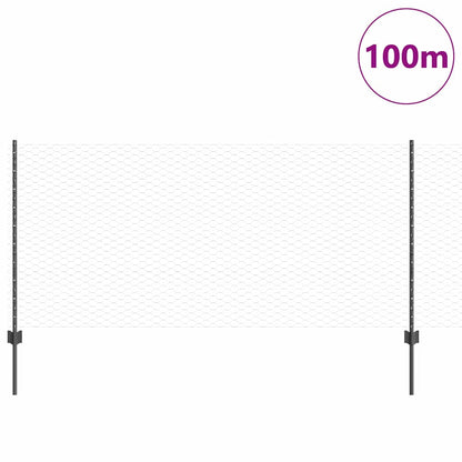 Fence with Posts Grey 1 x 100 m Steel