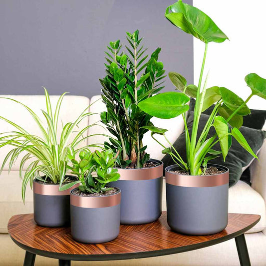 Double Sided Copper Tape Copper 2000 x 5 cm Copper