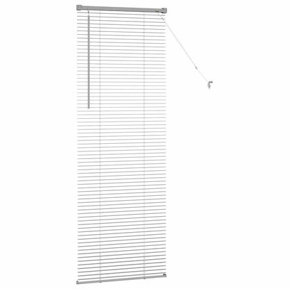 Window Blind with Curtains Manual Silver Aluminium