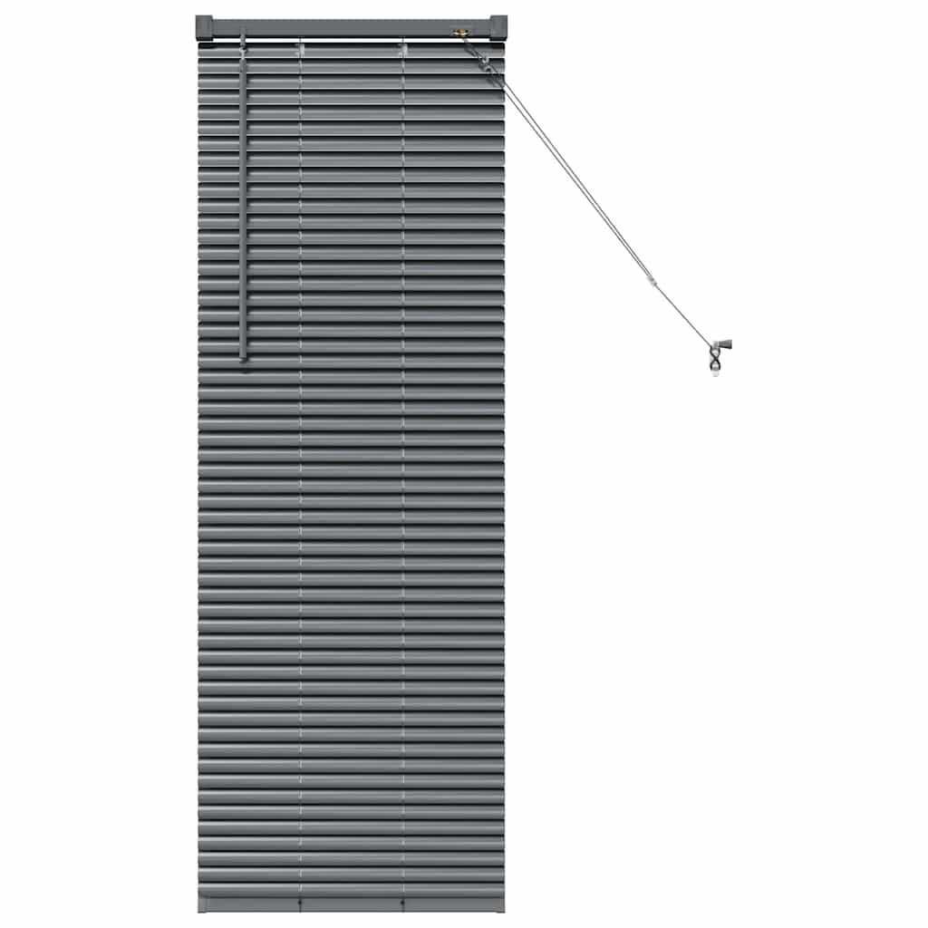 Window Blind with Curtains Manual Dark grey Aluminium