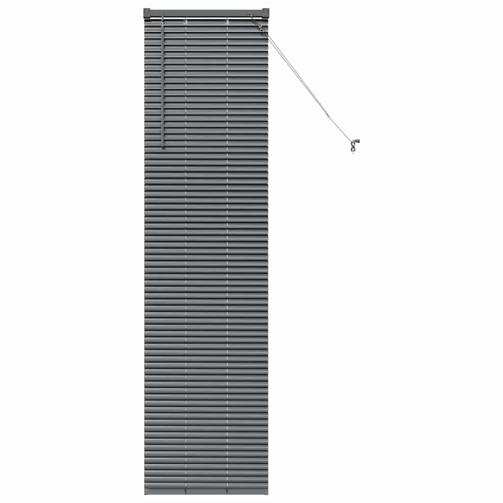Window Blind with Curtains Manual Dark grey Aluminium