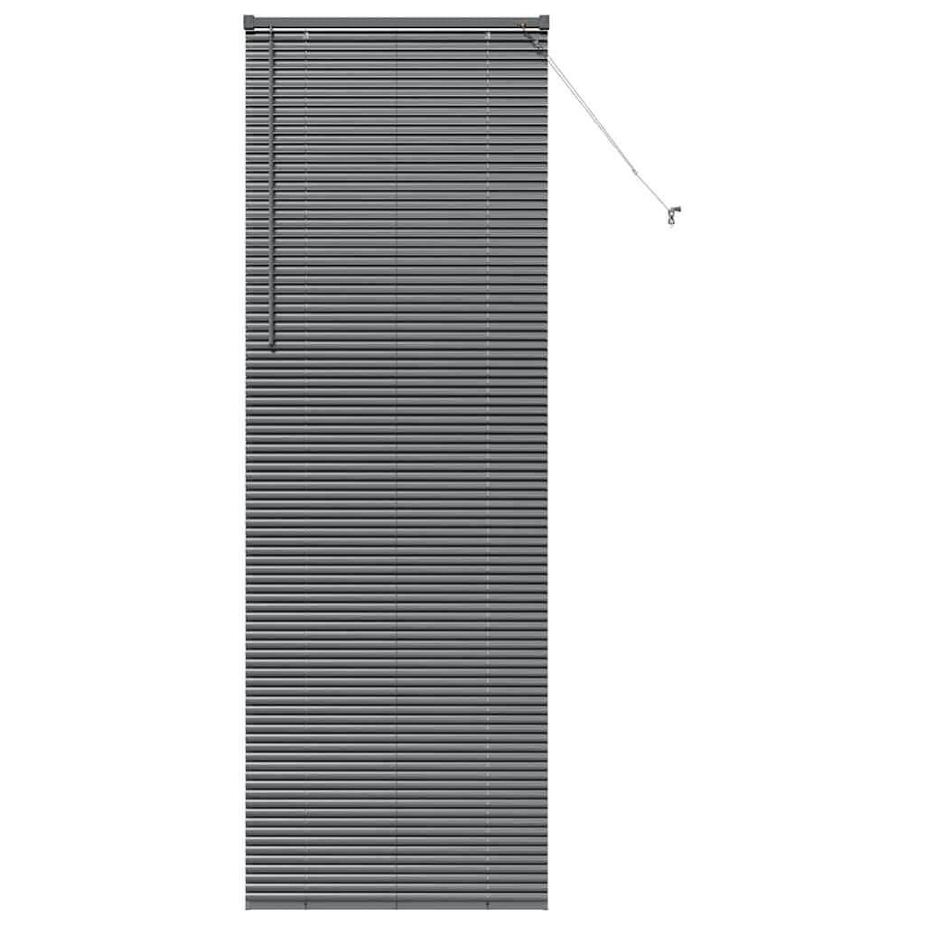 Window Blind with Curtains Manual Dark grey Aluminium