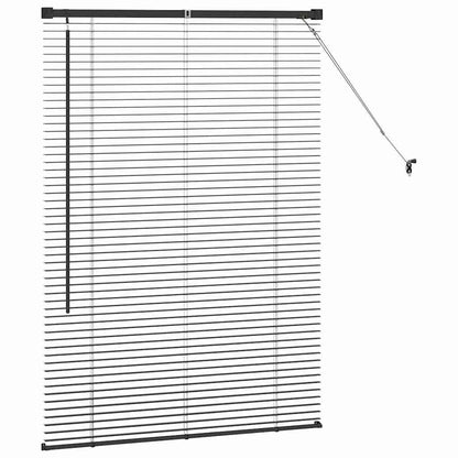 Window Blind with Curtains Manual Black Aluminium