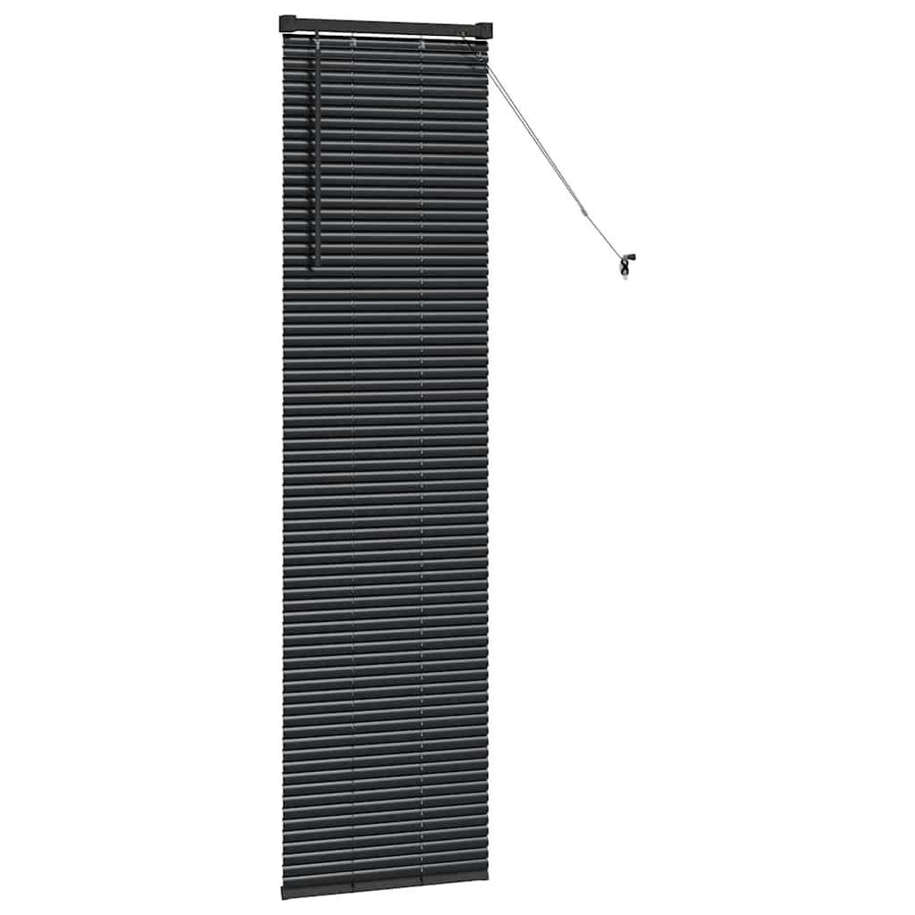 Window Blind with Curtains Manual Black Aluminium