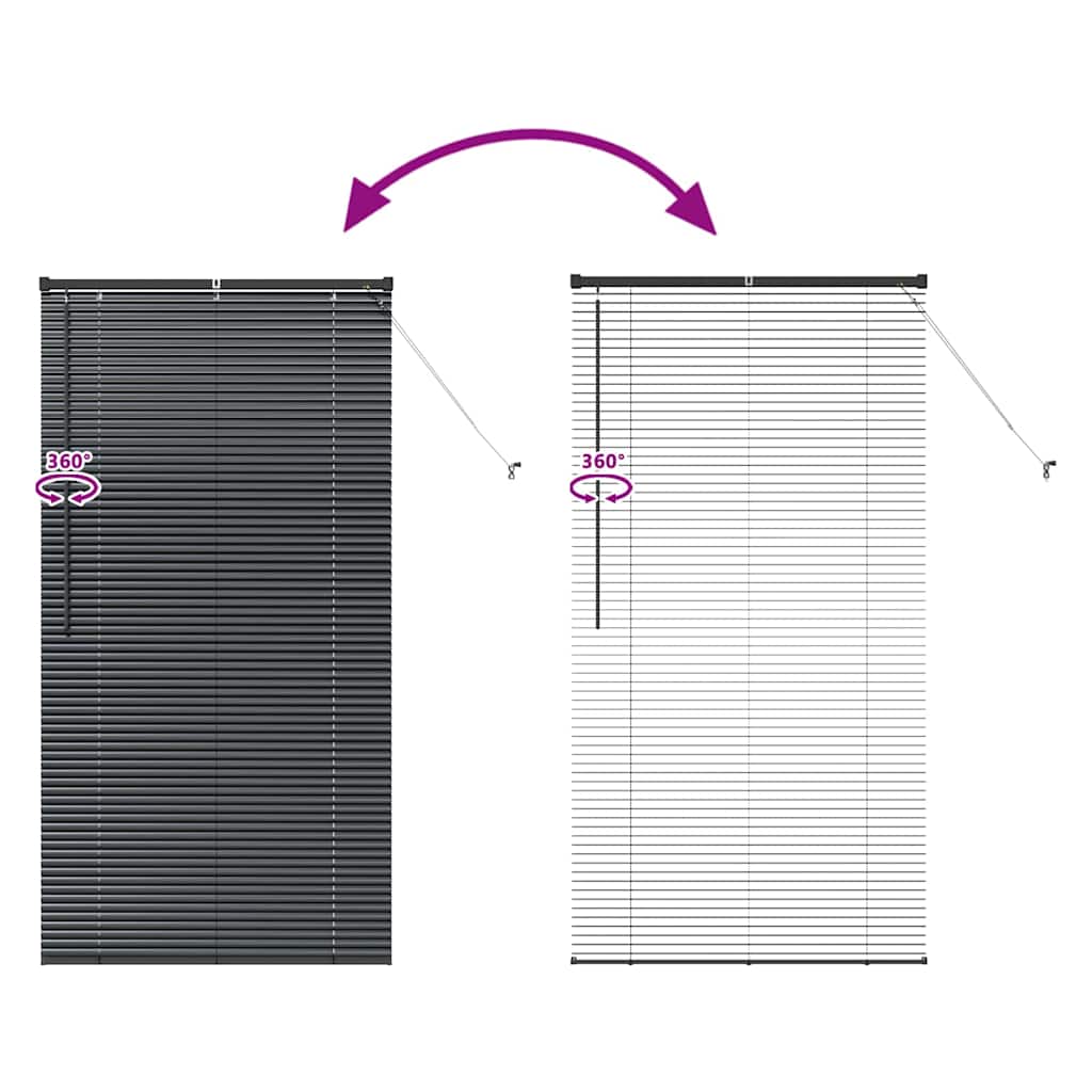 Window Blind with Curtains Manual Black Aluminium