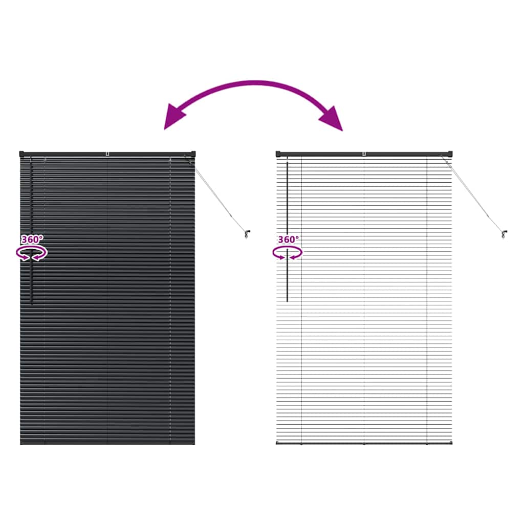 Window Blind with Curtains Manual Black Aluminium