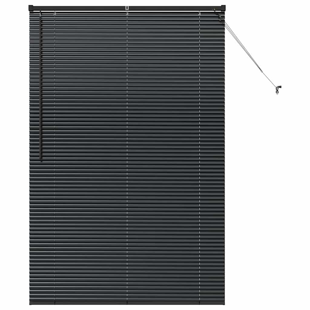 Window Blind with Curtains Manual Black Aluminium