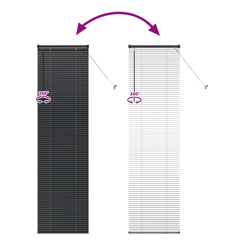 Window Blind with Curtains Manual Black Aluminium