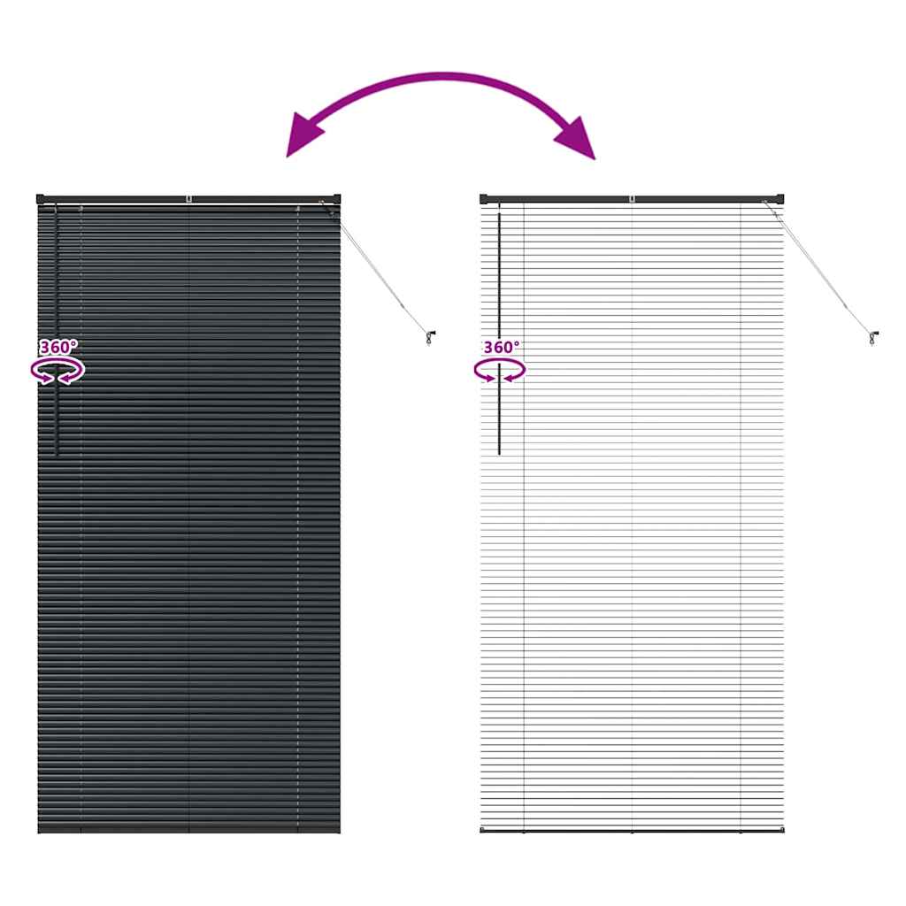 Window Blind with Curtains Manual Black Aluminium