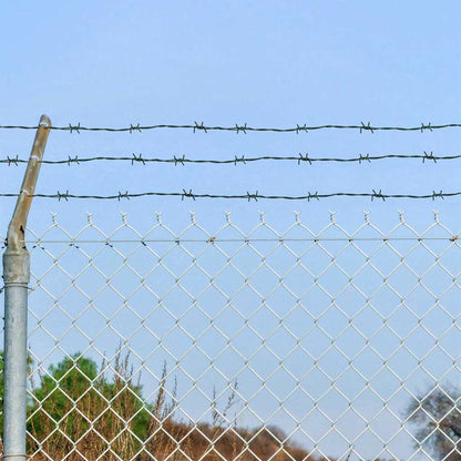 Barbed Wire Green 50 m PVC-coated Steel