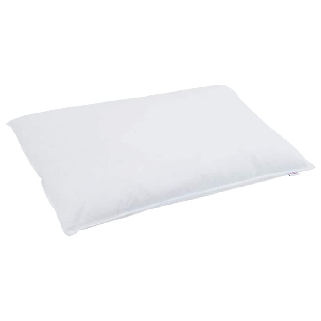 2-in-1 Duvet with Pillow 2 pcs White Down Feather