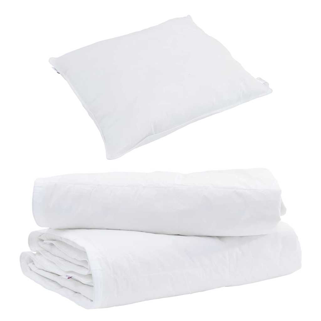 2-in-1 Duvet with Pillow 2 pcs White Down Feather