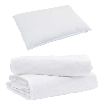 2-in-1 Duvet with Pillow 2 pcs White Down Feather