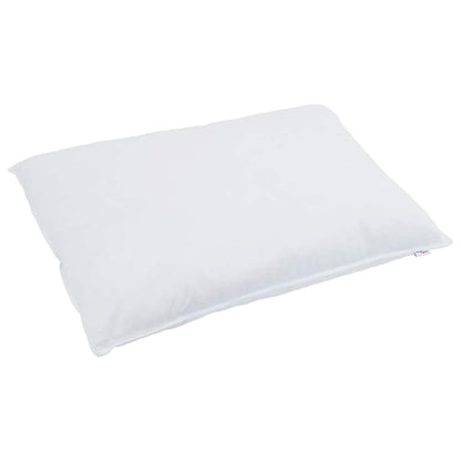 2-in-1 Duvet with Pillow 2 pcs White Down Feather