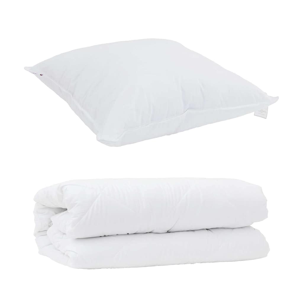 Duvet Set with Pillow 2 pcs White Microfibre