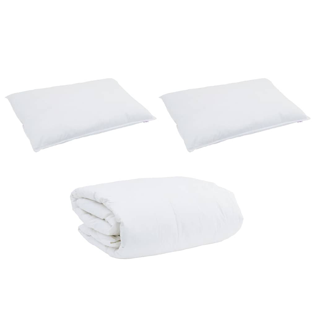 Duvet Set with Pillow 3 pcs White Down Feather