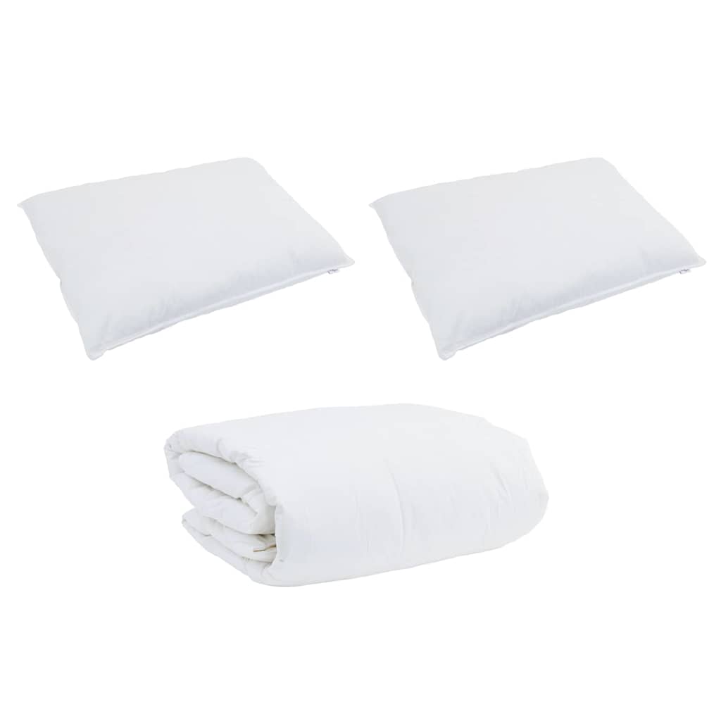 Duvet Set with Pillow 3 pcs White Down Feather