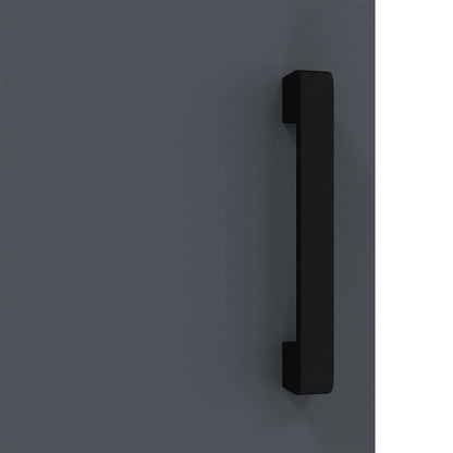 Kitchen Storage Cabinet with Shelf with Door Anthracite Steel