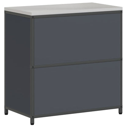 Kitchen Storage Cabinet with Shelf with Door Anthracite Steel