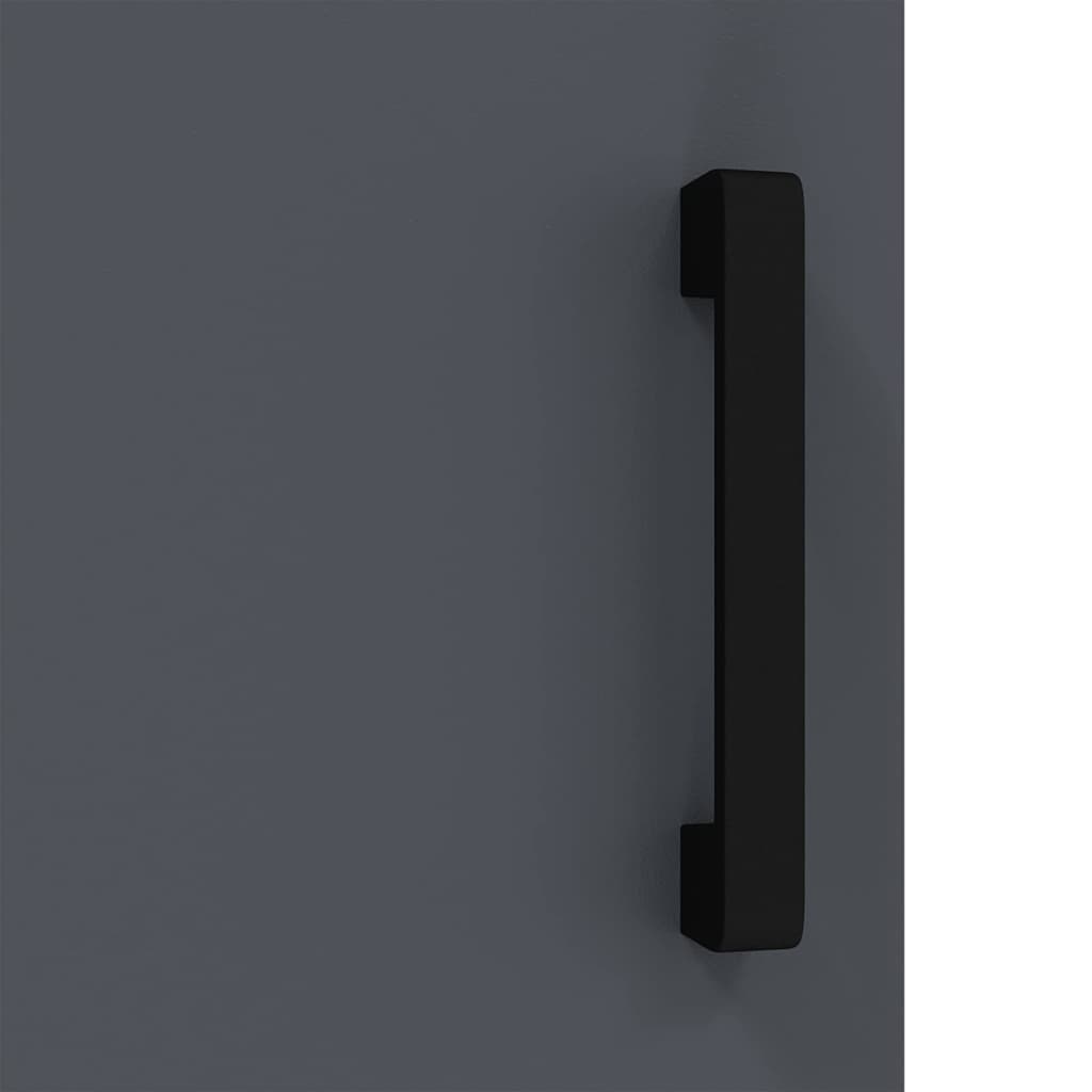 Kitchen Storage Cabinet with Shelf with Door Anthracite Steel