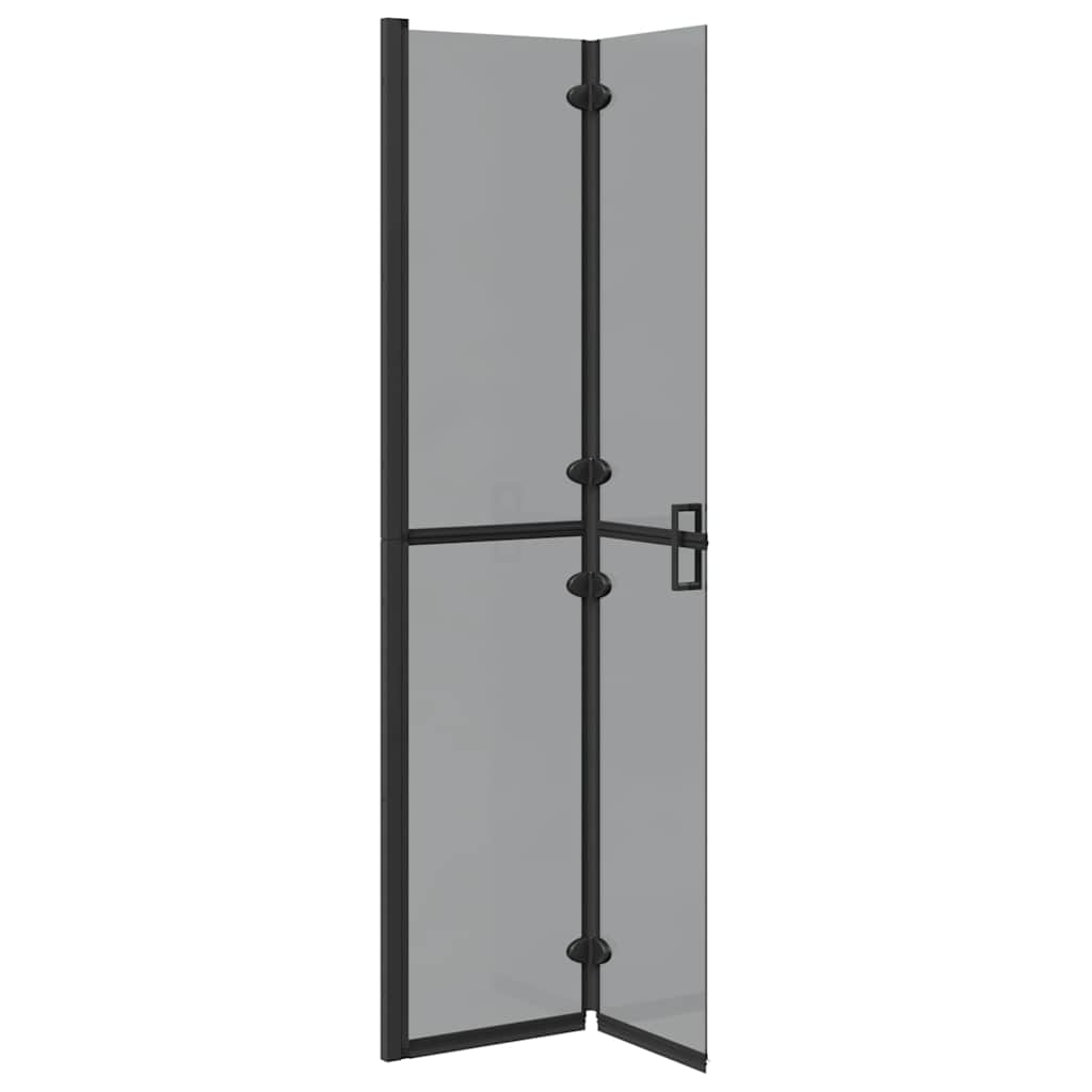 Walk-in shower wall Black and dark transparent 80 x 190 cm