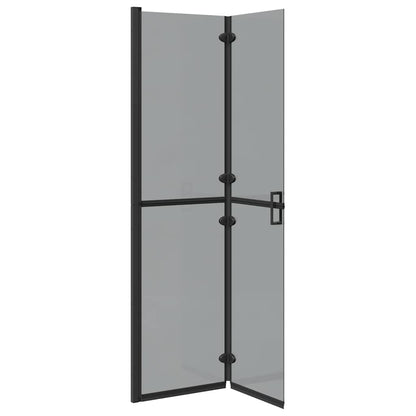 Walk-in shower wall Black and dark transparent 100 x 190 cm