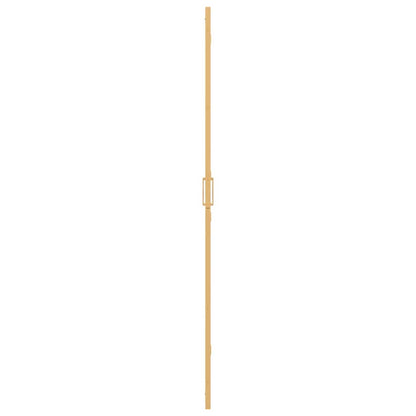 Walk-in shower wall Folding Gold and transparent 100 x 190 cm