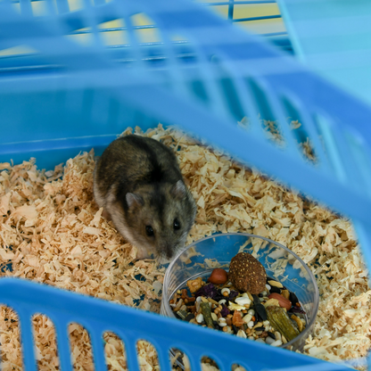 5 Tiers Hamster Cage Animal Travel Carrier Habitat W/ Accessories Pawhut