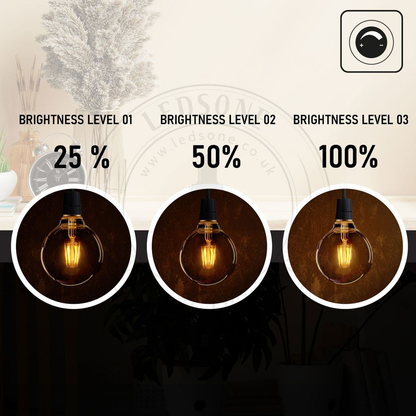 2Pack E27 LED Edison Dimmable Vintage Amber Glass Warm white 2700K Light Bulbs