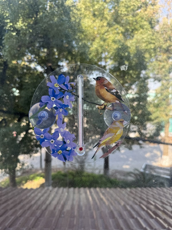 Outdoor Window Thermometer